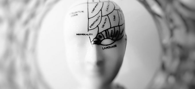 Black and white image of a ceramin head showing different regions of the brain