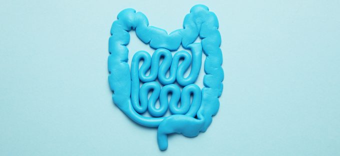 Intestines made out of blue clay